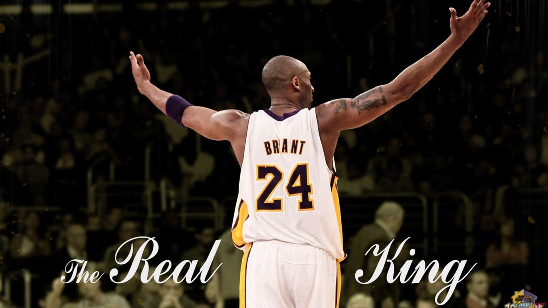 领先优势明显首场状态出色，老鹰观众沸腾！TheShy重返赛场全场沸腾不已